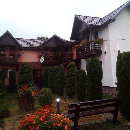 Pensiunea Denisa Sacalusesti Luaran gambar